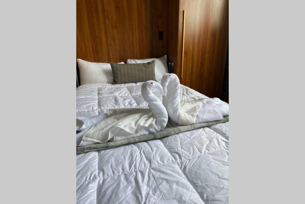 3E-Cozy! Micro Apartment Minutes From Shadyside, Sleeps 1 Pittsburgh Esterno foto